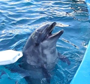 セナの遊び時間